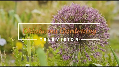 Thumbnail for entry Oklahoma Gardening May 27, 2023