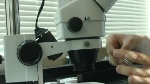 Thumbnail for Colby Gregg, Niblack Research Scholar 2012-13