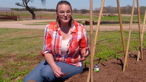 Thumbnail for entry Oklahoma Gardening Episode #4644 (05/02/20)