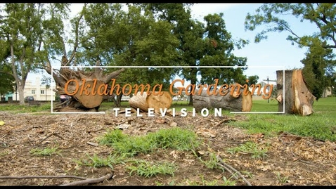 Thumbnail for entry Oklahoma Gardening September 9, 2023