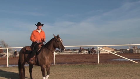 Thumbnail for Equine Program: Inside OSU