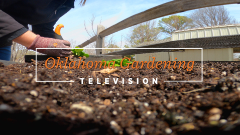 Thumbnail for entry Oklahoma Gardening March 25, 2023