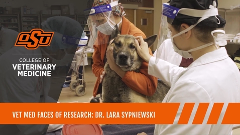 Thumbnail for Vet Med Faces of Research: Dr. Lara Sypniewski