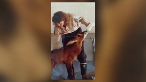 Thumbnail for 2018 DASNR Honors-Charlotte Kirk Baer