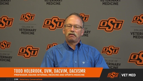 Thumbnail for Vet Med Faces of Research: Dr. Todd Holbrook