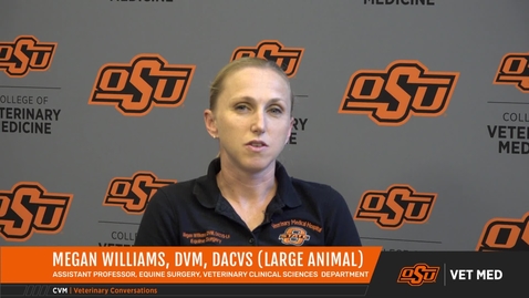 Thumbnail for Vet Med Faces of Research: Dr. Megan Williams