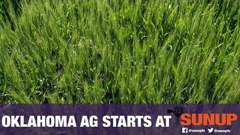 Thumbnail for entry Altus Virtual Wheat Field Day (4/24/20)