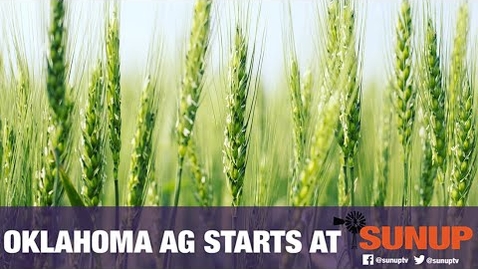 Thumbnail for entry Chickasha Virtual Wheat Field Day  (4/24/20)