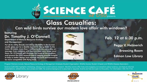 Thumbnail for Science Cafe presents Glass Casualties