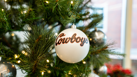 Thumbnail for Happy Holidays 2022