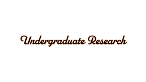 Thumbnail for Undergraduate Research