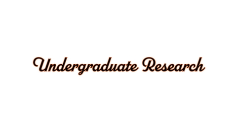 Thumbnail for entry Undergraduate Research