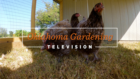 Thumbnail for entry Oklahoma Gardening- May 28, 2022
