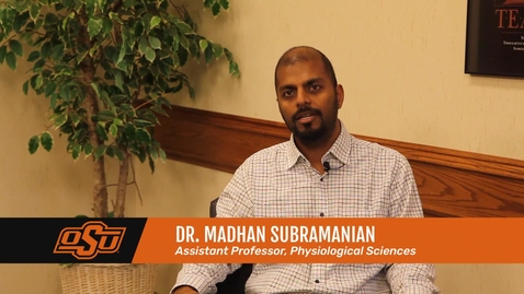 Thumbnail for Veterinary Medicine from Chennai, India to Stillwater, Oklahoma