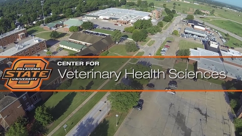 Thumbnail for OSU Places Its First Bronchial Stents in a Dog