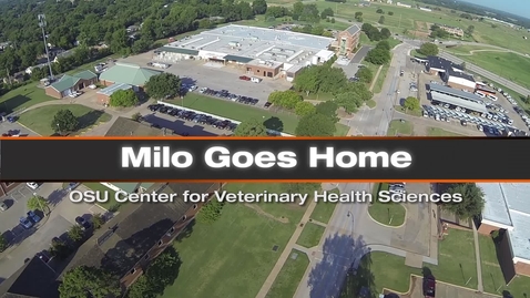 Thumbnail for Milo Goes Home