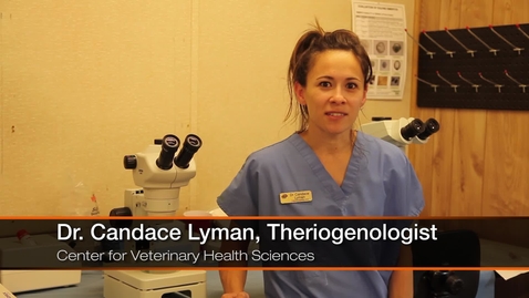 Thumbnail for Dr. Candace Lyman: First Generation College Graduate