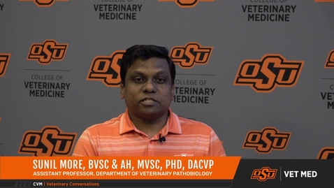 Thumbnail for entry Vet Med Faces of Research: Dr. Sunil More