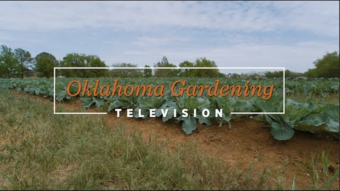 Thumbnail for entry Oklahoma Gardening April 29, 2023