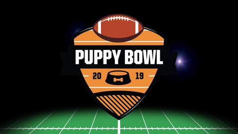 Thumbnail for entry The Puppy Bowl 2019