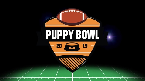 Thumbnail for The Puppy Bowl 2019