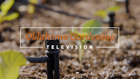 Thumbnail for Watering/Irrigation
