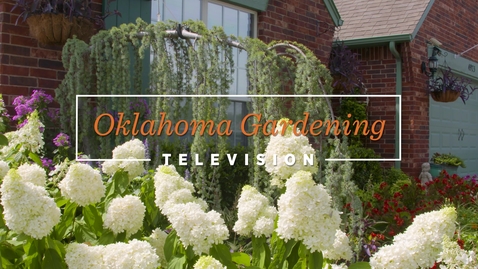 Thumbnail for entry Geubelle Home Garden in Tulsa
