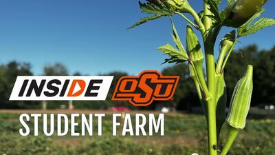 In early 2023, students from the Ferguson College of Agriculture started planting crops on 2.5 acres of land. The Student Farm is located near the OSU campus and has already provided more than 40,000 pounds of fresh produce for the Stillwater community. Join Inside OSU’s Meghan Robinson as she take us inside the project and its future plans.