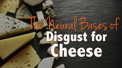 Thumbnail for entry The Neural Bases of Disgust for Cheese