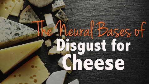 Thumbnail for The Neural Bases of Disgust for Cheese