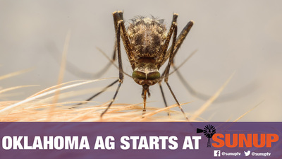 This week on SUNUP:</div><div><br></div><div>Justin Talley, OSU Extension livestock entomologist, explains how we can keep ourselves and our pets safe from pests like ticks and mosquitoes this summer.</div><div><br></div><div>Wes Lee, OSU Extension Mesonet agricultural coordinator, shows how much soil moisture levels have changed over the past few weeks. State climatologist Gary McManus discusses improvements to the drought monitor.</div><div><br></div><div>Derrell Peel, OSU Extension livestock marketing specialist, says though pastures are looking green in drought-stricken areas, more rain is needed for better grazing prospects.</div><div><br></div><div>Kim Anderson, OSU Extension grain marketing specialist, breaks down the latest movements in the crop markets.</div><div><br></div><div>Mark Johnson, OSU Extension beef cattle breeding specialist, discusses internal parasite control in spring calving herds.</div><div><br></div><div>Finally, we learn what makes Joe Williams an OSU 2022 Distinguished Alumnus.