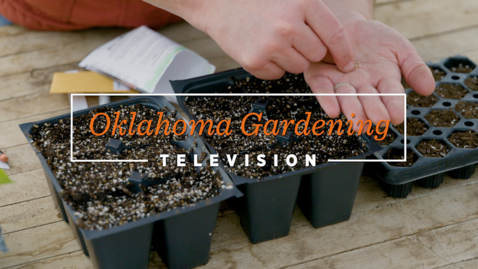 Thumbnail for Planting