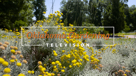 Thumbnail for entry Oklahoma Gardening July 09, 2022