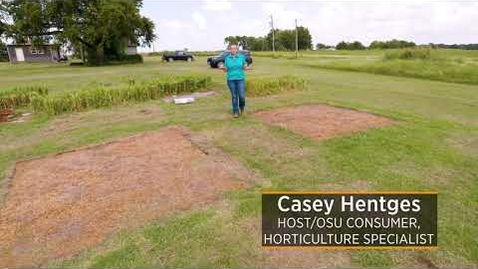 Thumbnail for entry Solarization Update in Eradicating Bermudagrass