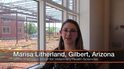 Thumbnail for Supporting Tomorrow's Veterinarians
