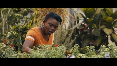 Thumbnail for Orange is the Answer: Agriculture