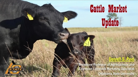 Thumbnail for entry Cattle Market Update