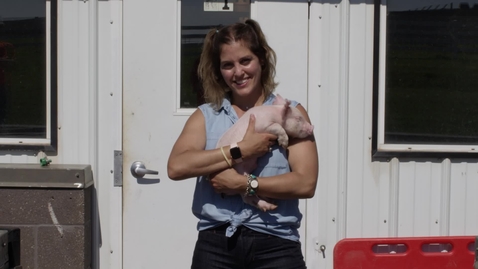 Thumbnail for Swine Research and Education Center