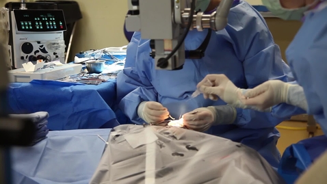 Thumbnail for entry OSU Ophthalmologists Offer Equine Cataract Surgery