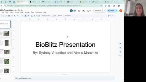Thumbnail for Sydney Valentine's Zoom Meeting