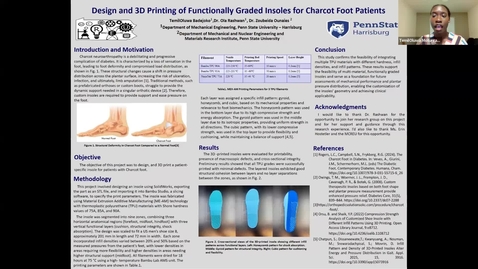 Thumbnail for Design and 3D Printing of Functionally Graded Insoles for Charcot Foot Patients