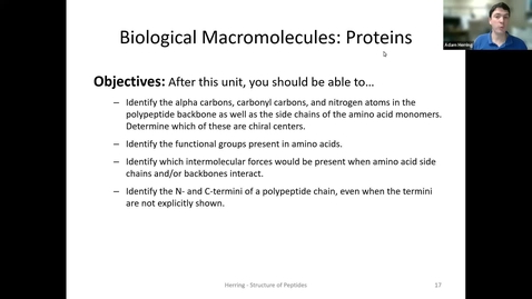 Thumbnail for CHEM 130 - Structure of Peptides
