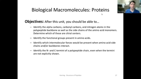 Thumbnail for entry CHEM 130 - Structure of Peptides