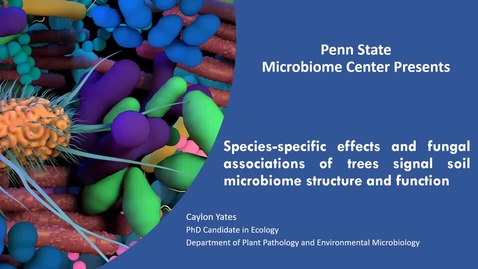 Thumbnail for entry 2021 NOV 05 Species-specific effects and fungal associations of trees alter soil microbiome structure and function