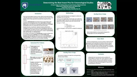 Thumbnail for entry Determining the Best Insect Pins for Entomological Studies