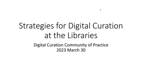 Thumbnail for entry Strategies for Digital Curation at the Libraries