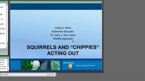 Thumbnail for Squirrels and Chipmunks