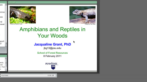 Thumbnail for Amphibians and Reptiles