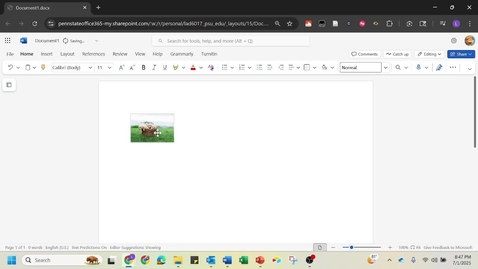 Thumbnail for Add Alt Text to Images in Word Online