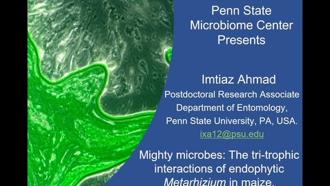 Thumbnail for entry 2020 FEB 14 Mighty microbes: The tri-trophic interactions of endophytic Metarhizium in maize